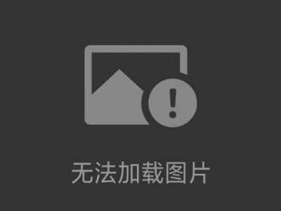 STROMAG51_125_BM3Z_498_G凸輪開關